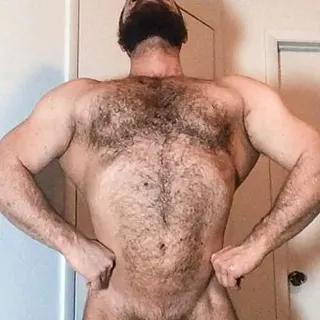 Profilbild von synchbear