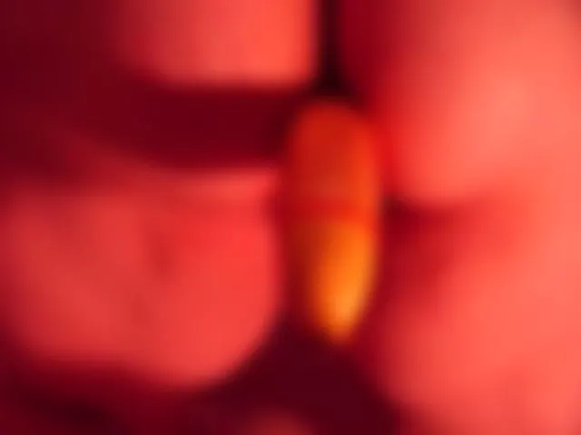Fick Anal mit Obst