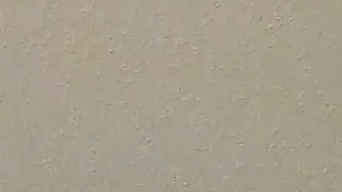 Wunschvideos