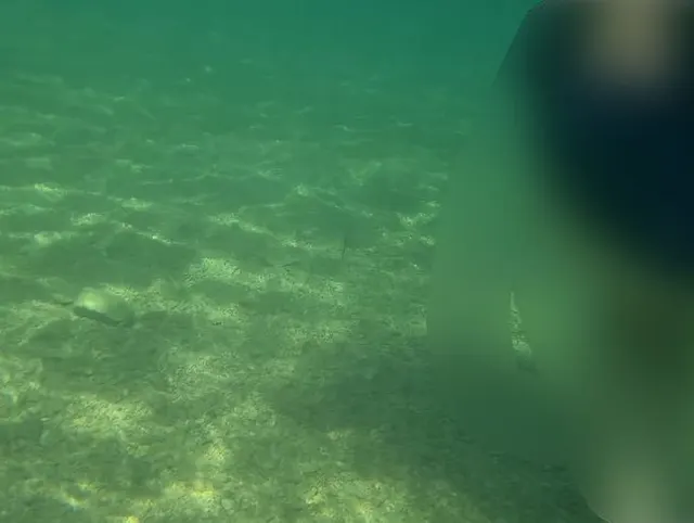 Unterwasser gefilmt