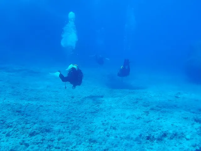 #Dive N°: 850 (08)