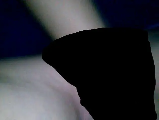 Fisten...............................................
