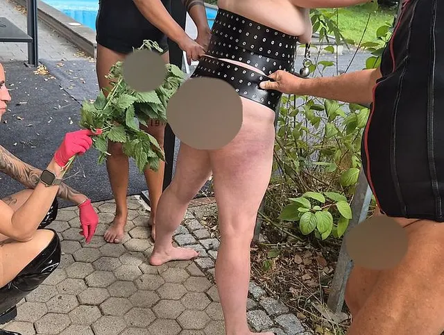 Vorschau aus Creampie: Lady Medusa reibt Brennnesseln an meinen Arsch und meine Fotze!