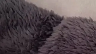 Heimlich gefingert