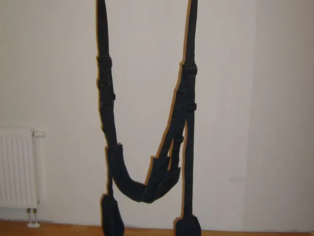 die schaukel