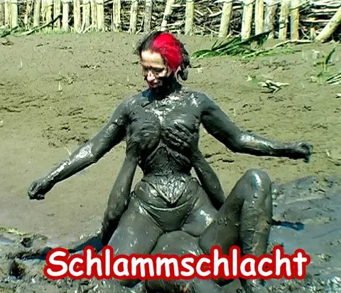 Catfight im Watt
