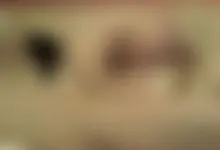 SUCK FUCK ELLE