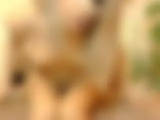Riding a big cock