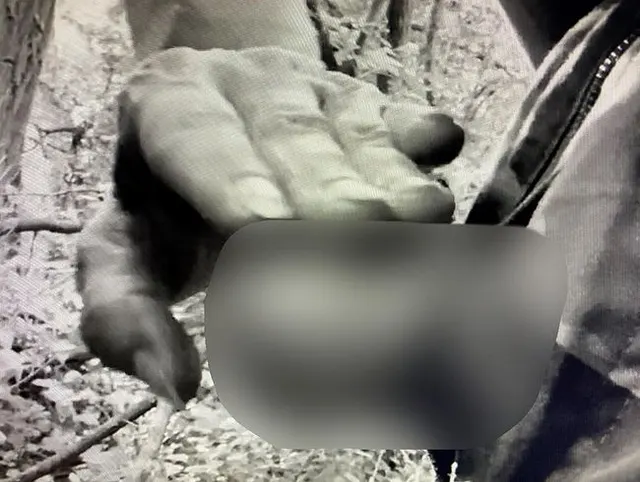 Meine Frau besorgts mir m Wald mit Ihrer Hand