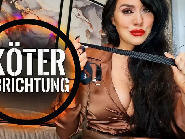 Die Abrichtung eines Köters