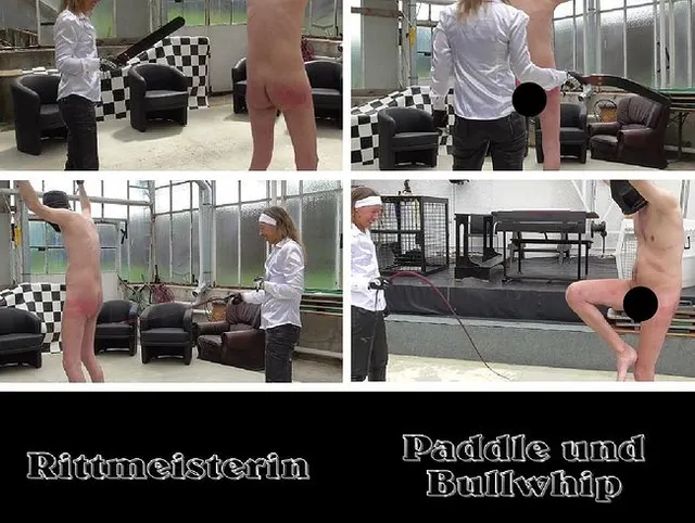 Paddle und Bullwhip