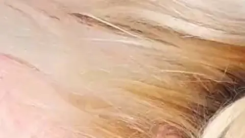Draußen im Sommer