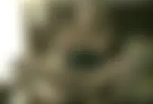 Cock & Fingers at the same time