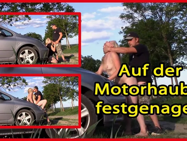 Auf der Motorhaube festgenagelt