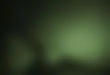 Suckit Silly