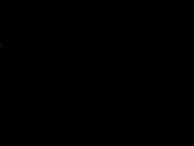 die Mango