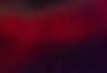 blowjob fun