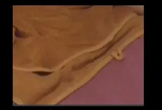 Geiles Anal video