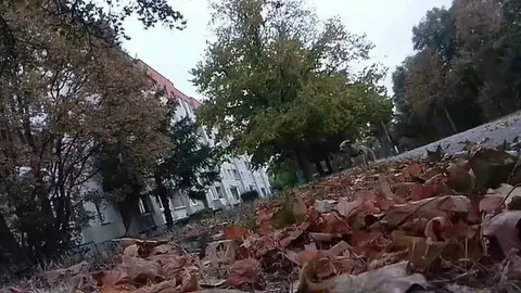 Draußen Barfuß unterwegs bei einer Gassi-Runde - es wird herbstlich ?????