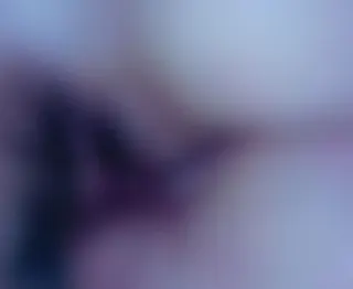 schön gefickt