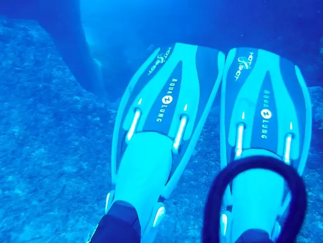 Dive N°: 850 (10)