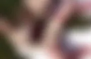 Dildo im Wald