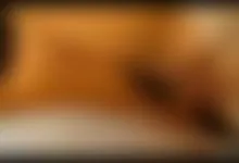 brunet sucks the cock then fucks it