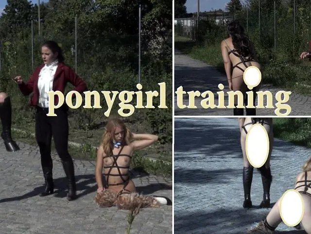ponygirl training