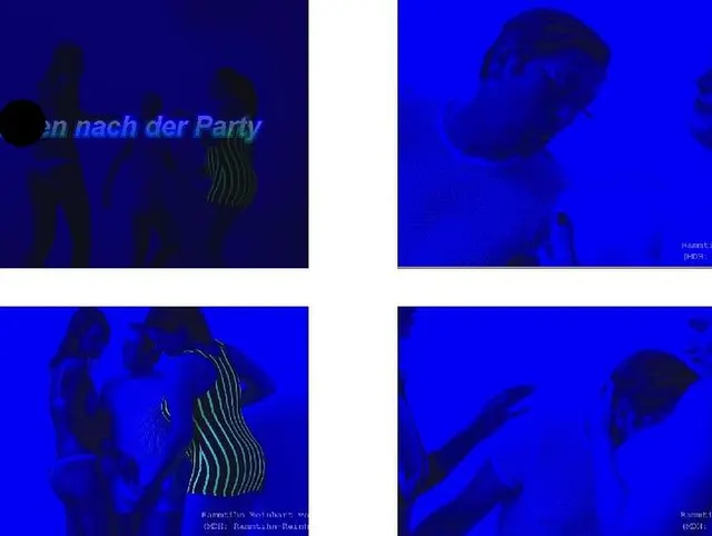 Ficken nach der Party