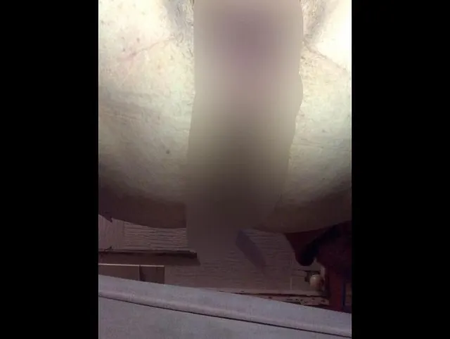 Ob das Gürkchen passt