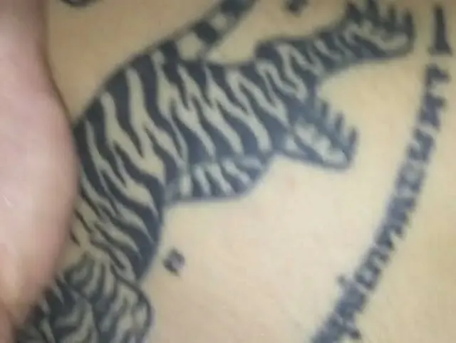 analcreampie