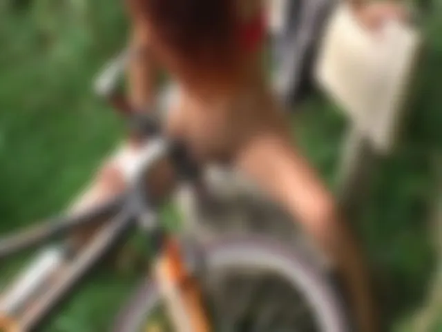 Lenkerfick