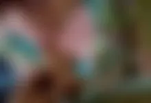 bj n cum