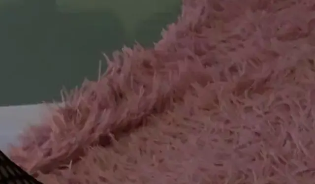 Pussy und Bodystocking