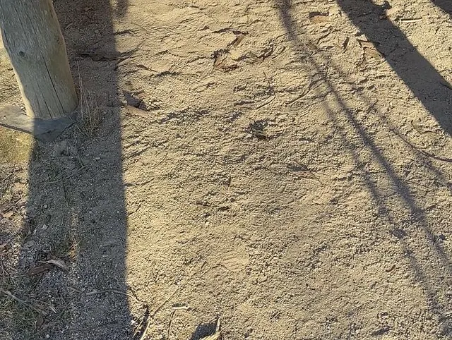 Im Waldpavillon dem notgeilen Jäger den Lauf poliert!!