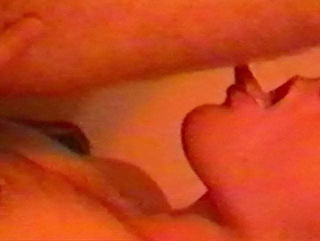 Bi Teen Spermaschlucker Boy - mit 18 jede Menge Sperma der Freunde geschluckt - und 3x abspritzen
