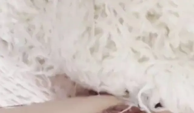 Geile Fotze mit dicken dicken hat es nötig und fickt die Muschi geil