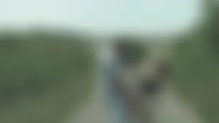 Creampie an der Autobahn