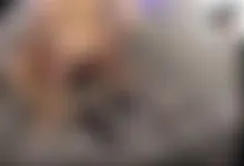 Creampie #4