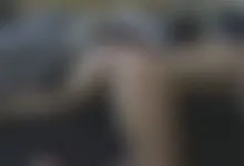 ASS licking