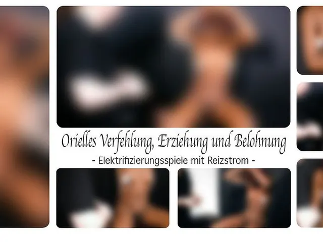 Orielles Verfehlung, Erziehung und Belohnung - Elektrifizierungsspiele mit Reizstrom