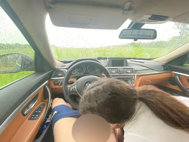Hündin saugt Schwanz in einem Auto und bekommt Sperma in den Mund