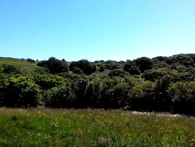 Close to nudist beach, totally isolated, fully naked jerk