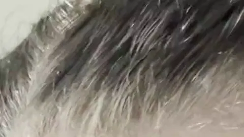 Mein Mann abgemolken , Blowjob und geschluckt