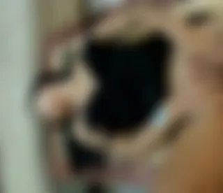 Feuchte Pussy
