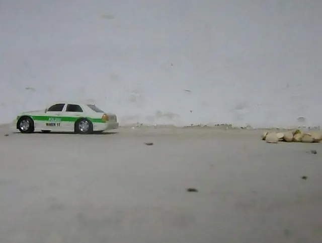 Crushing Polizei Modellauto und Nüsse in Ballerinas