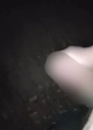 Cumshot in der Nacht im Wald.