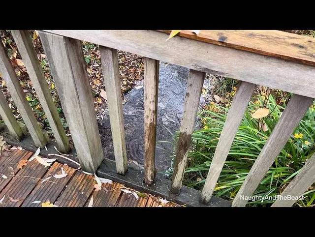 Vorsicht, wer pisst denn da in den Fluss? Publicpiss!