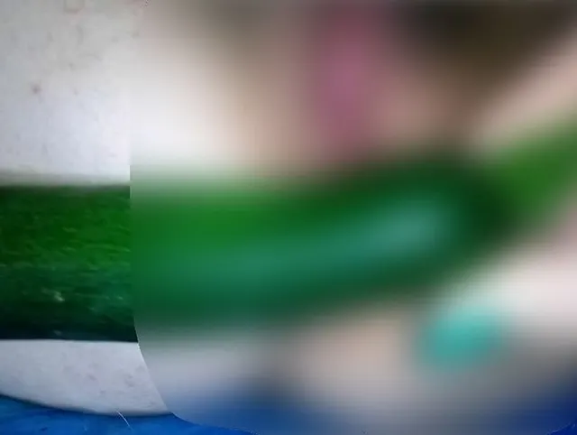 Zucchini in meiner Muschi - ob sie auch in den Po passt