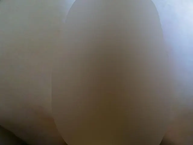 Ride the Toy